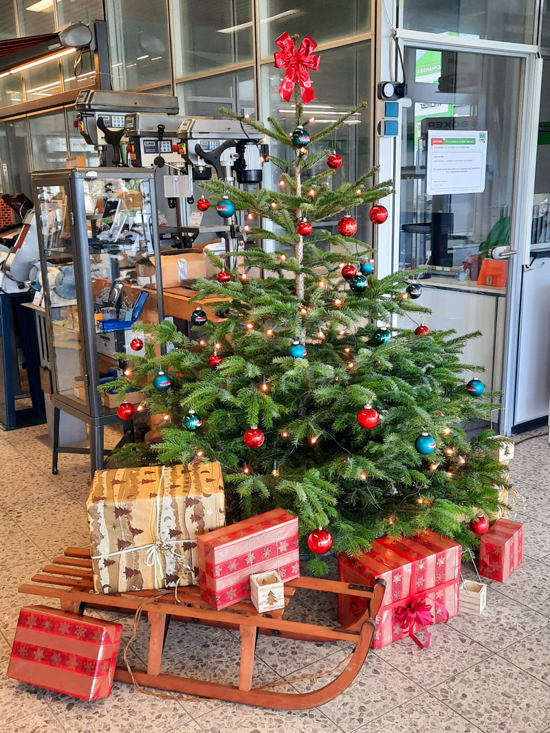 Read more about the article Unser Weihnachtsbaum steht !